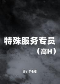 特殊服务专员 高H