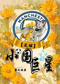 [足球]小国巨星