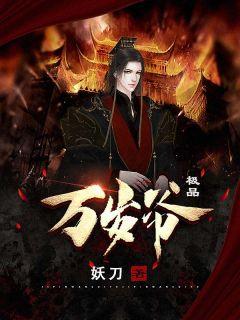 秦云萧淑妃穿越小说