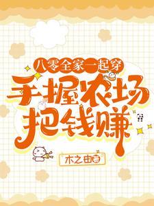穿八零:手握农场买房不停