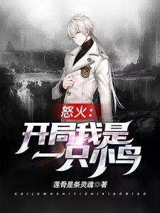 怒火:开局我是一只小鸟