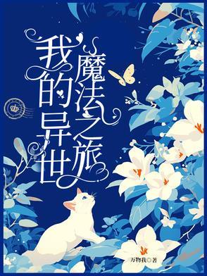 我的异世魔法之旅