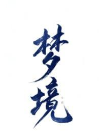 不做爱就无法离开的梦境（NPH万人迷）