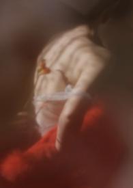 狐狸软木校园1v1